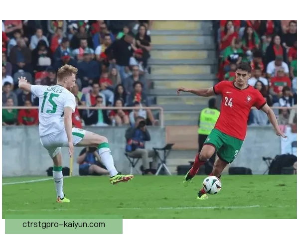 爱尔兰中场硬度强，球队竞争力增强引发关注